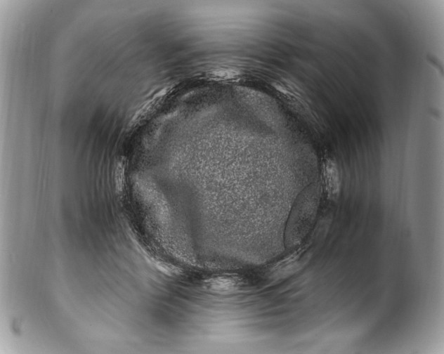 X0000100880412200807071131