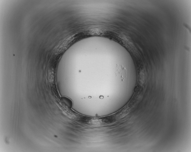 X0000100880413200807071131