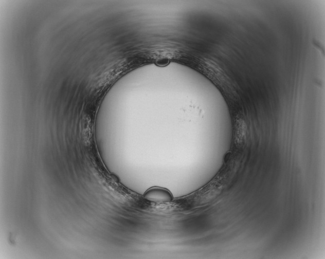 X0000100880414200807071131