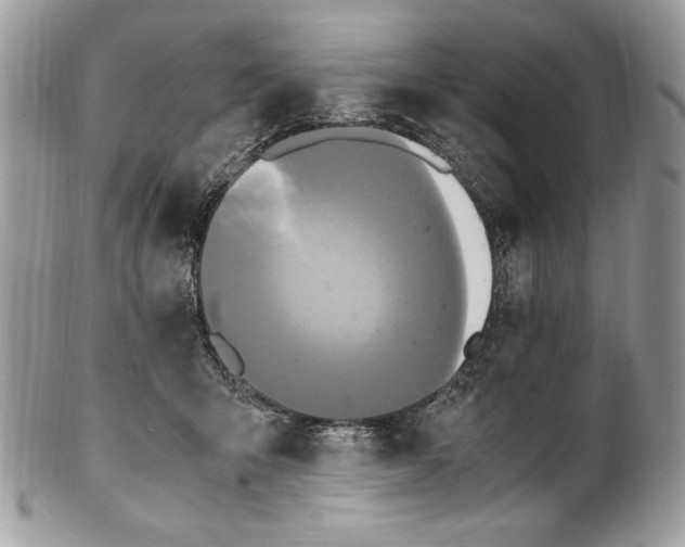 X0000100880415200807071131