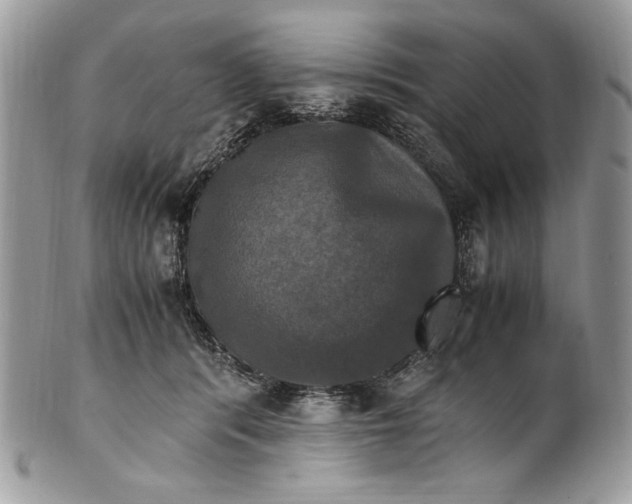 X0000100880416200807071131