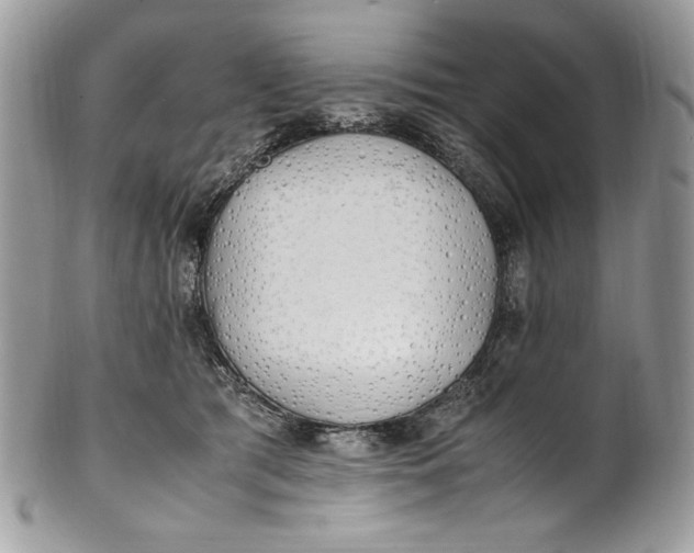 X0000100880417200807071131