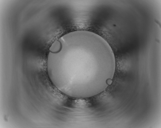 X0000100880419200807071131