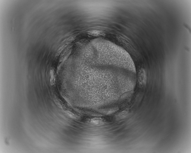 X0000100880420200807071131