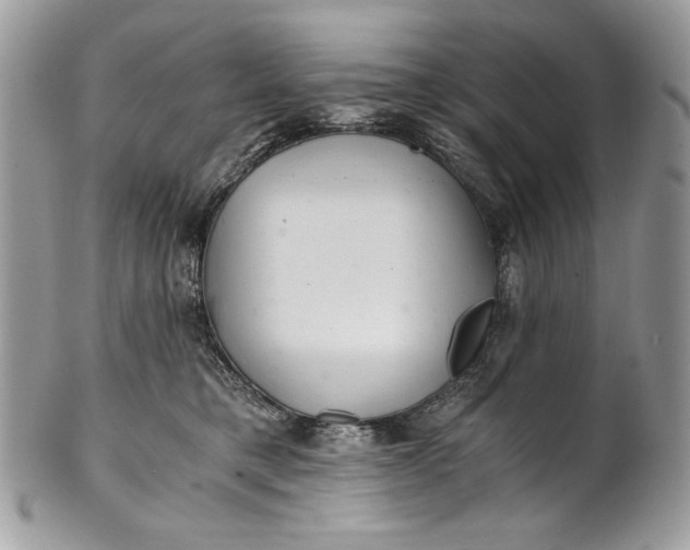 X0000100880421200807071131