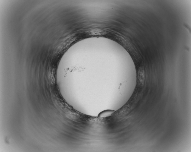 X0000100880422200807071131