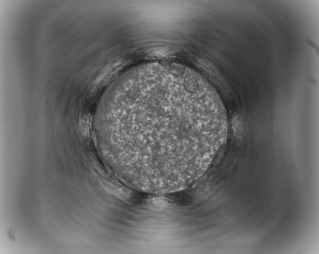 X0000100880423200807071131