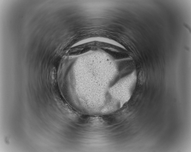 X0000100880424200807071131