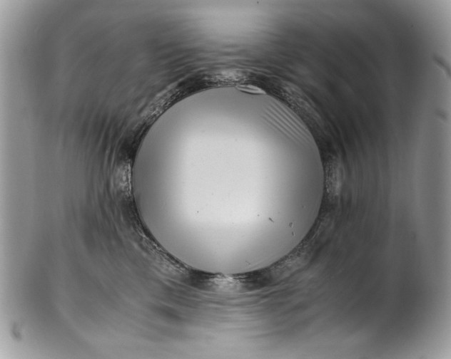 X0000100880425200807071131