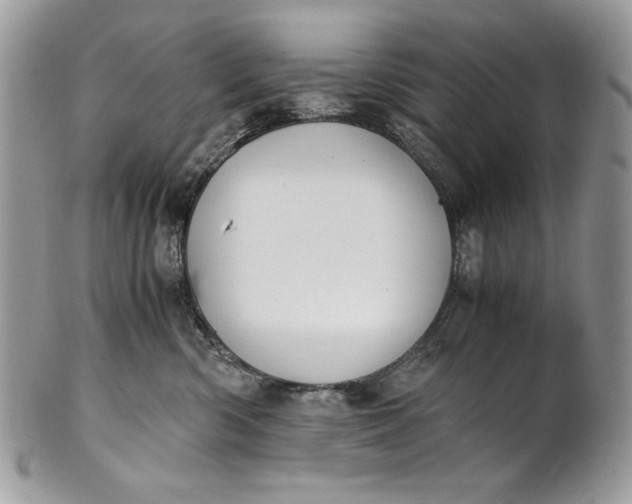 X0000100880426200807071131