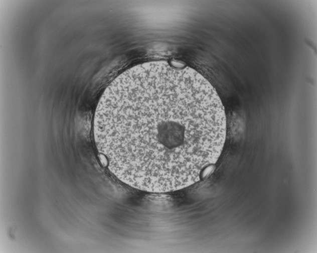 X0000100880427200807071131