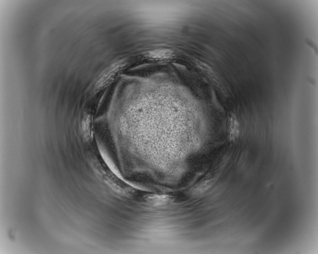 X0000100880428200807071131