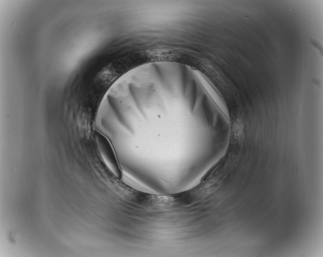 X0000100880429200807071131