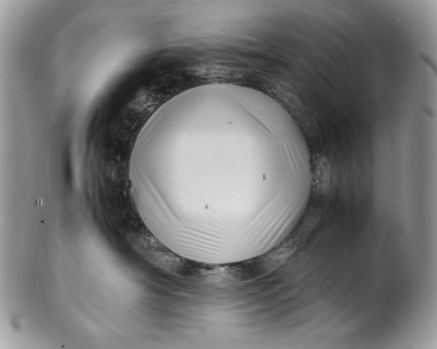 X0000100880430200807071131