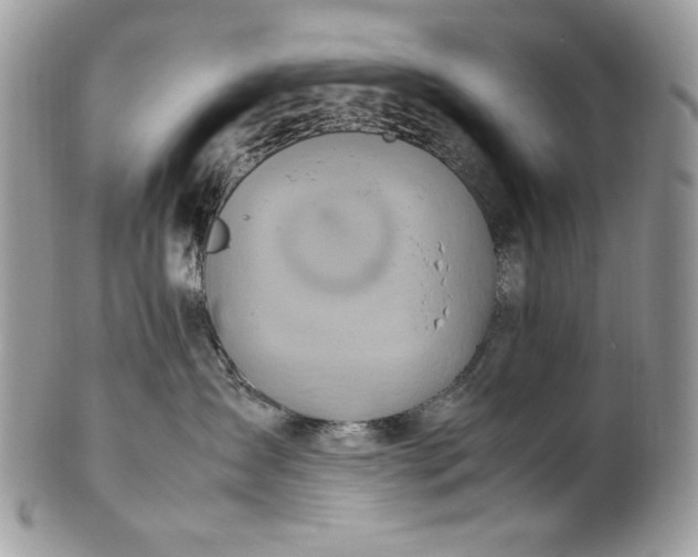 X0000100880431200807071131