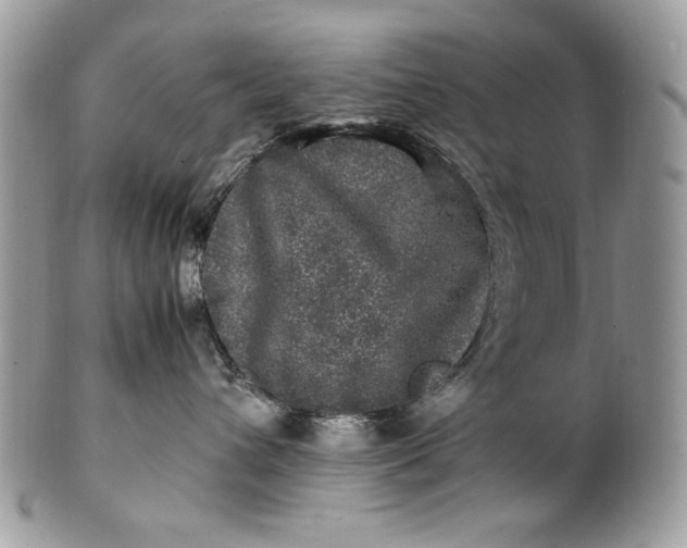 X0000100880432200807071131