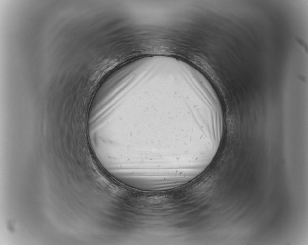 X0000100880433200807071130