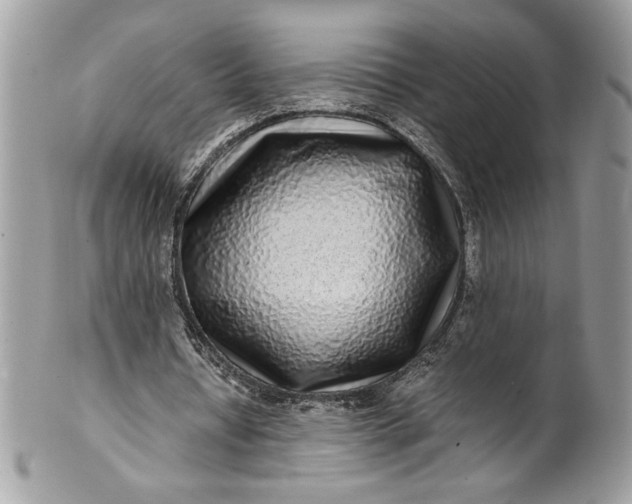 X0000100880434200807071130