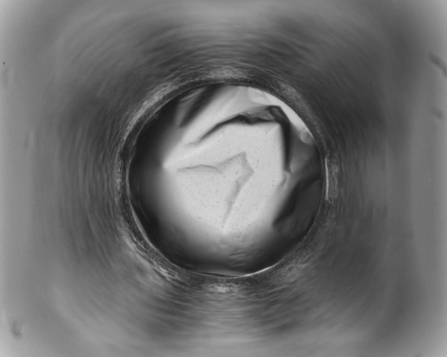 X0000100880435200807071130