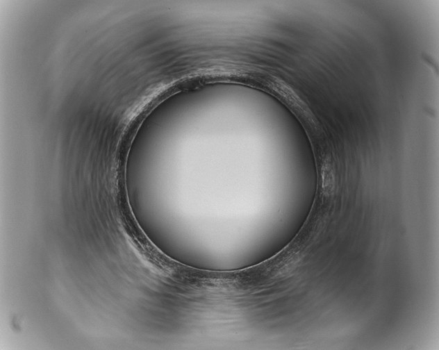 X0000100880436200807071130