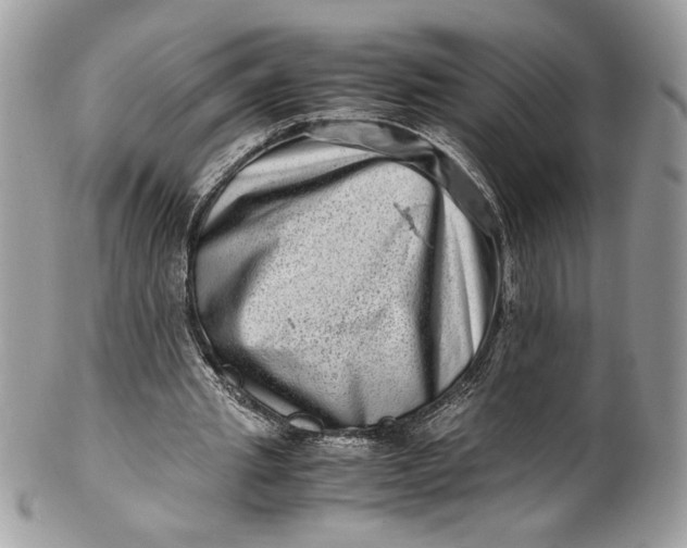 X0000100880437200807071130