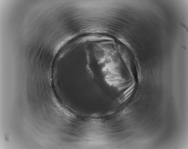 X0000100880438200807071130