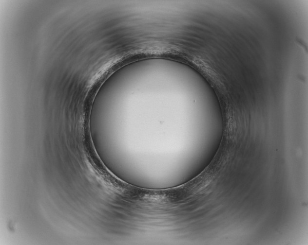 X0000100880440200807071130