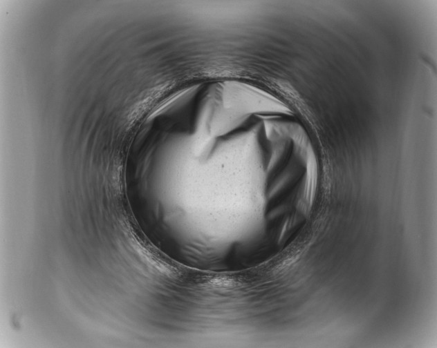 X0000100880441200807071130