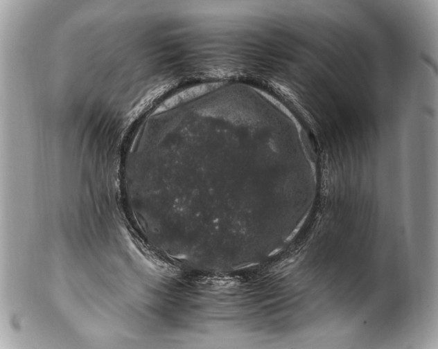 X0000100880443200807071130