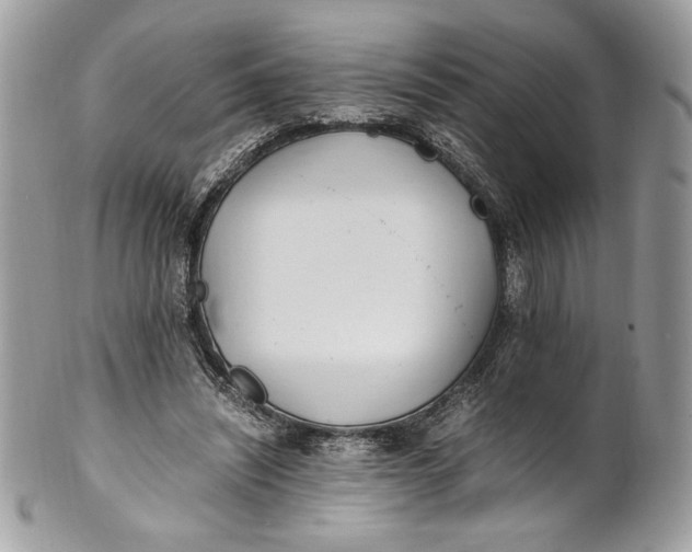 X0000100880444200807071130