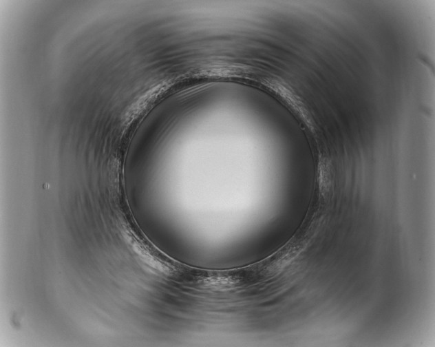 X0000100880445200807071130