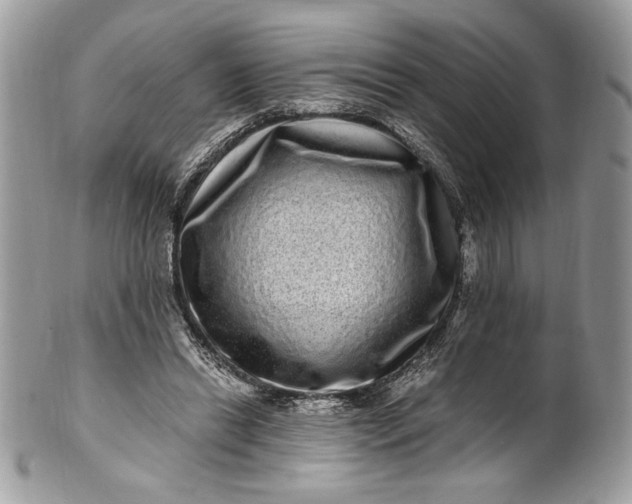 X0000100880446200807071130