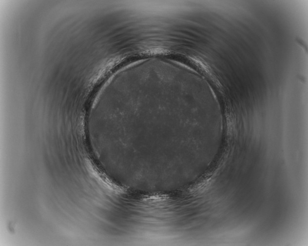 X0000100880447200807071130