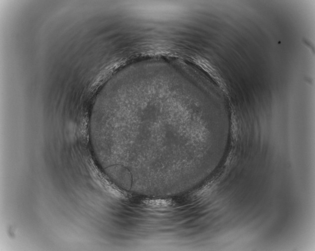 X0000100880449200807071130