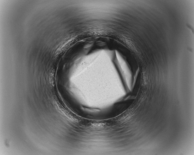 X0000100880450200807071130