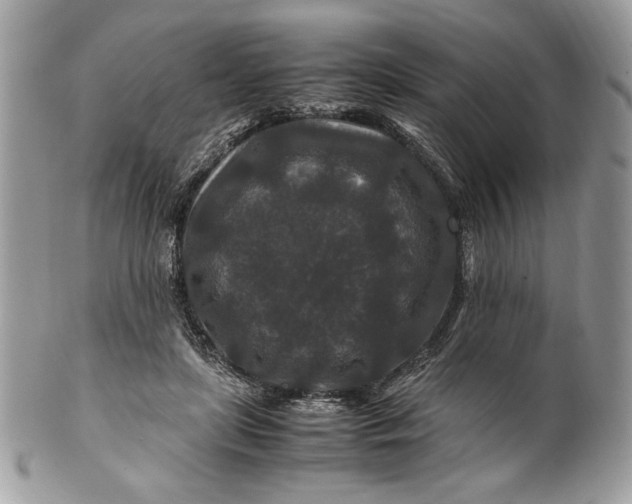 X0000100880451200807071130