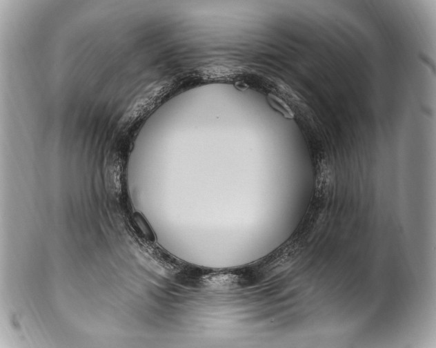 X0000100880452200807071130