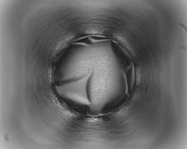 X0000100880453200807071130