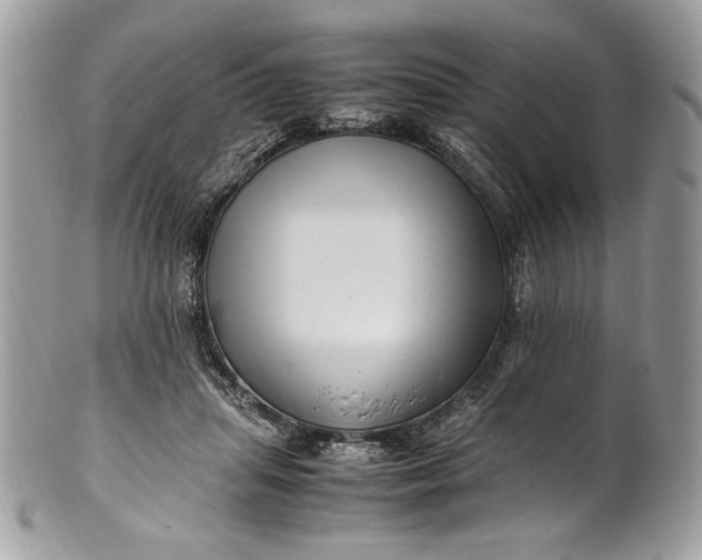 X0000100880455200807071131