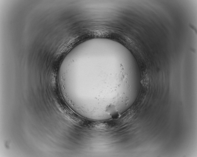 X0000100880456200807071131