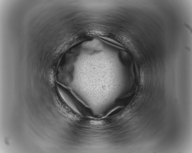 X0000100880457200807071131