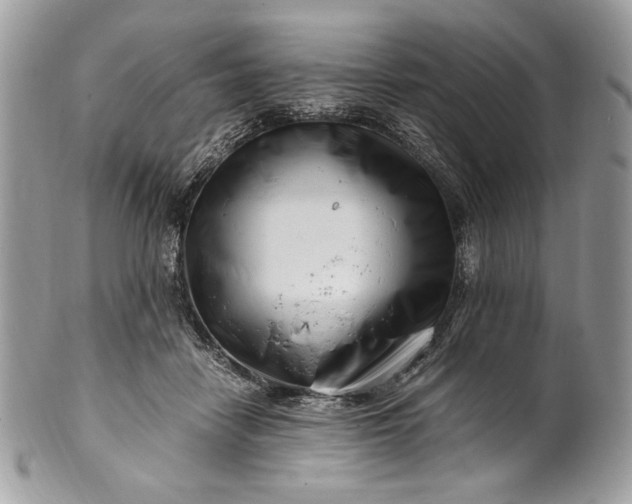 X0000100880458200807071131