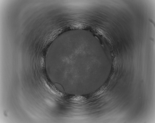 X0000100880459200807071131