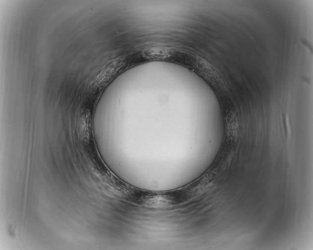 X0000100880460200807071131