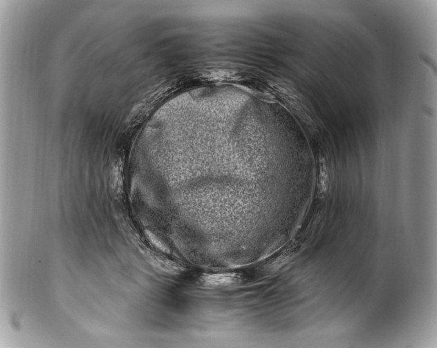 X0000100880461200807071131