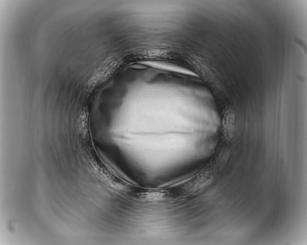 X0000100880462200807071131