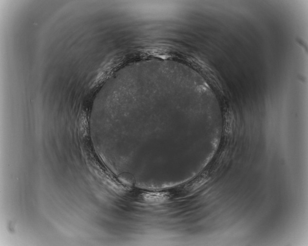 X0000100880465200807071131