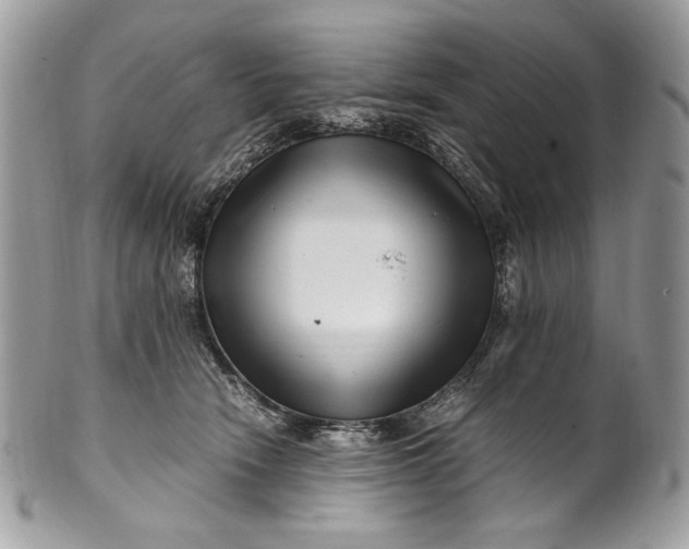 X0000100880466200807071131