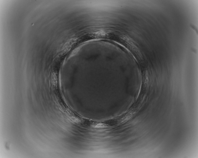 X0000100880467200807071131