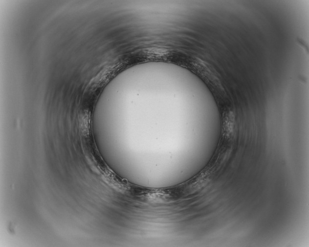 X0000100880468200807071131